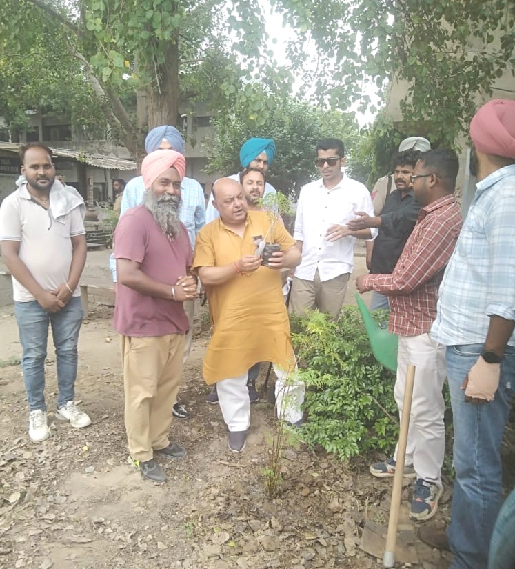 समग्र उन्यान फाउंडेशन द्वारा दरेसी मंदिर मैदान और कृषि विश्वविद्यालय में सफल वृक्षारोपण अभियान